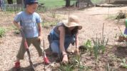 Waldorf Early Childhood Education: Real Life Activities